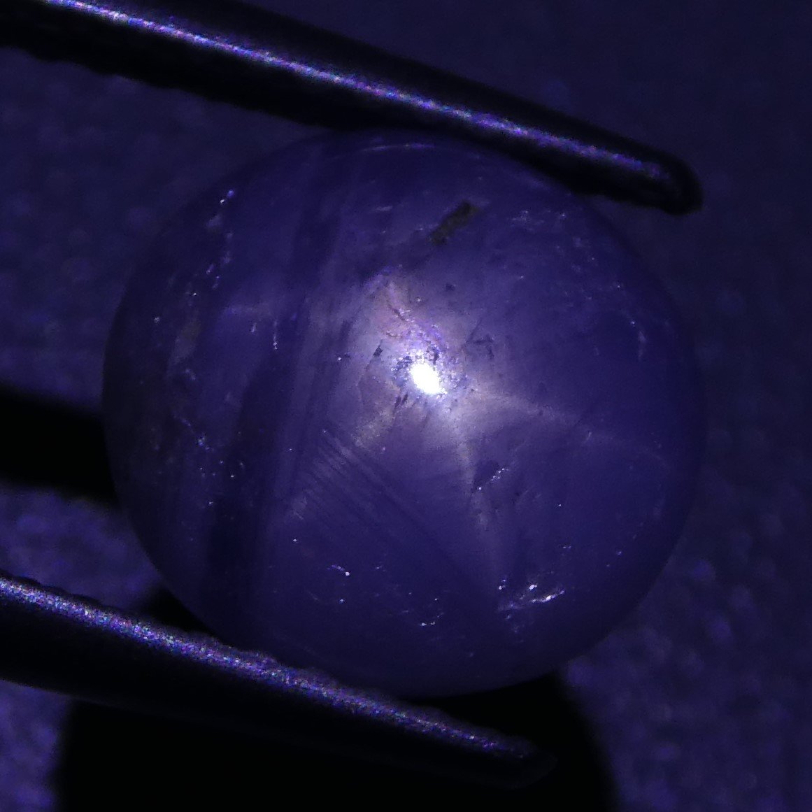 3.48 ct Unheated Blue Ceylon Star Sapphire - Skyjems Wholesale Gemstones