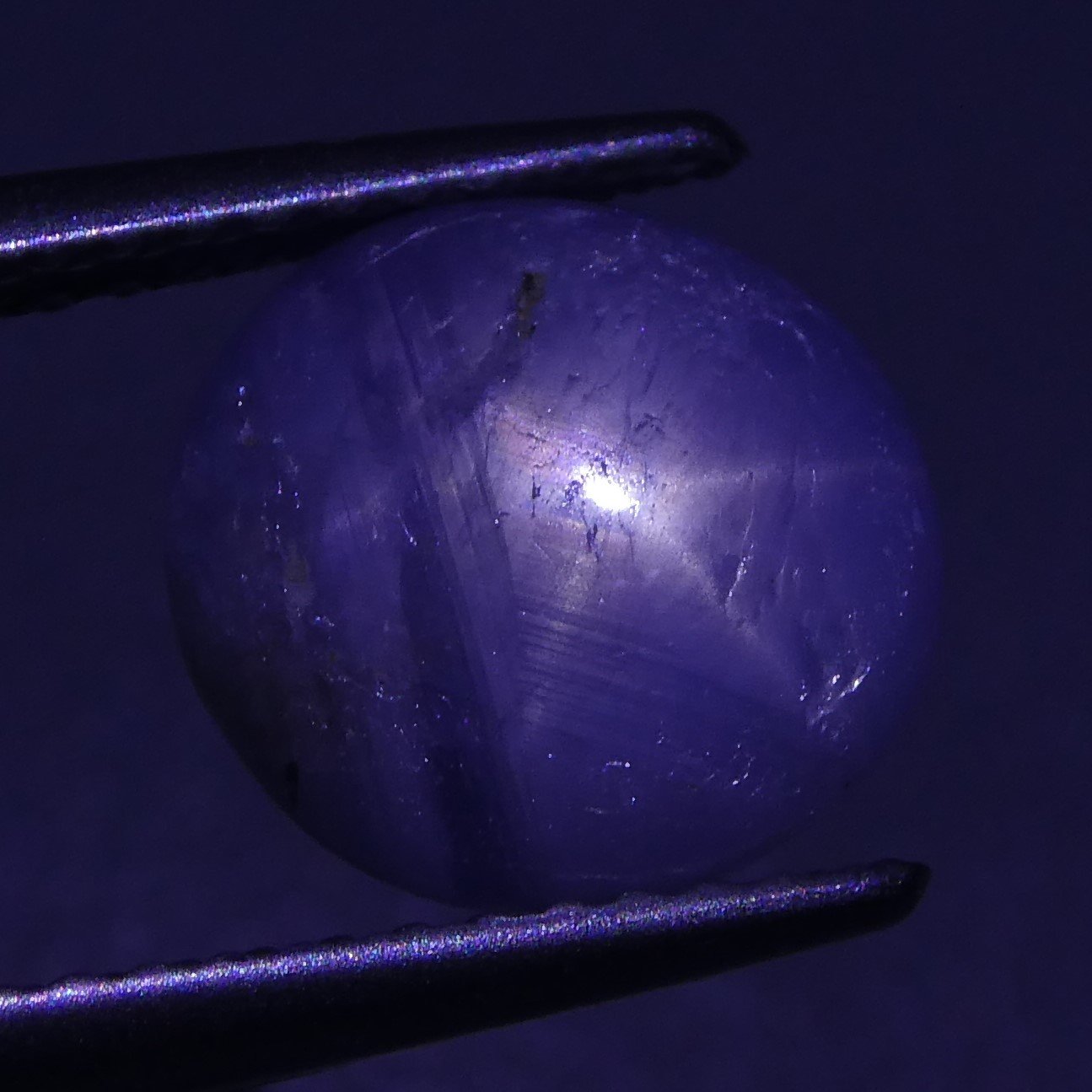 3.48 ct Unheated Blue Ceylon Star Sapphire - Skyjems Wholesale Gemstones