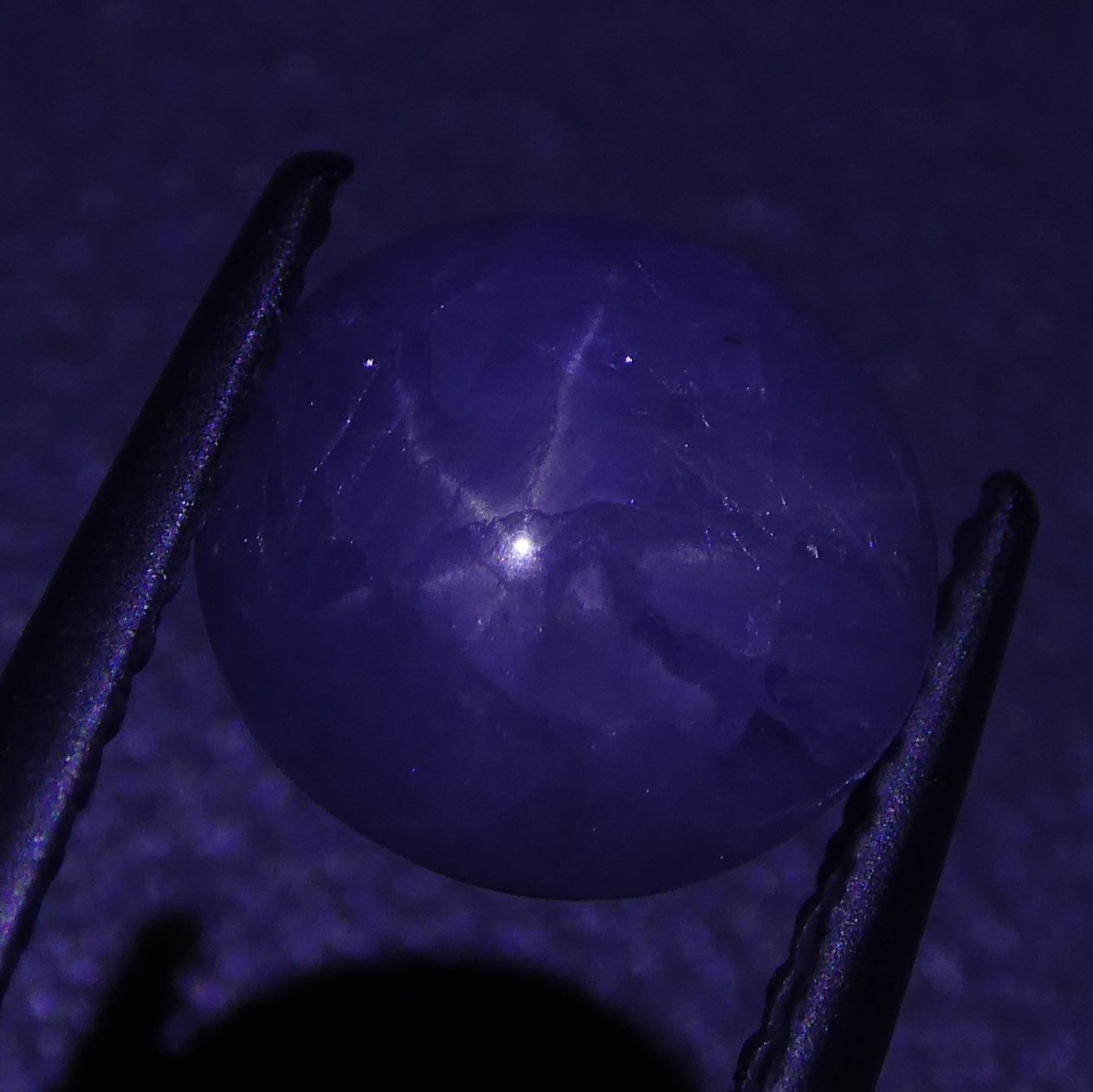 3.04 ct Unheated Blue Ceylon Star Sapphire from SkyJems - rare oval cabochon with stunning asterism from Sri Lanka