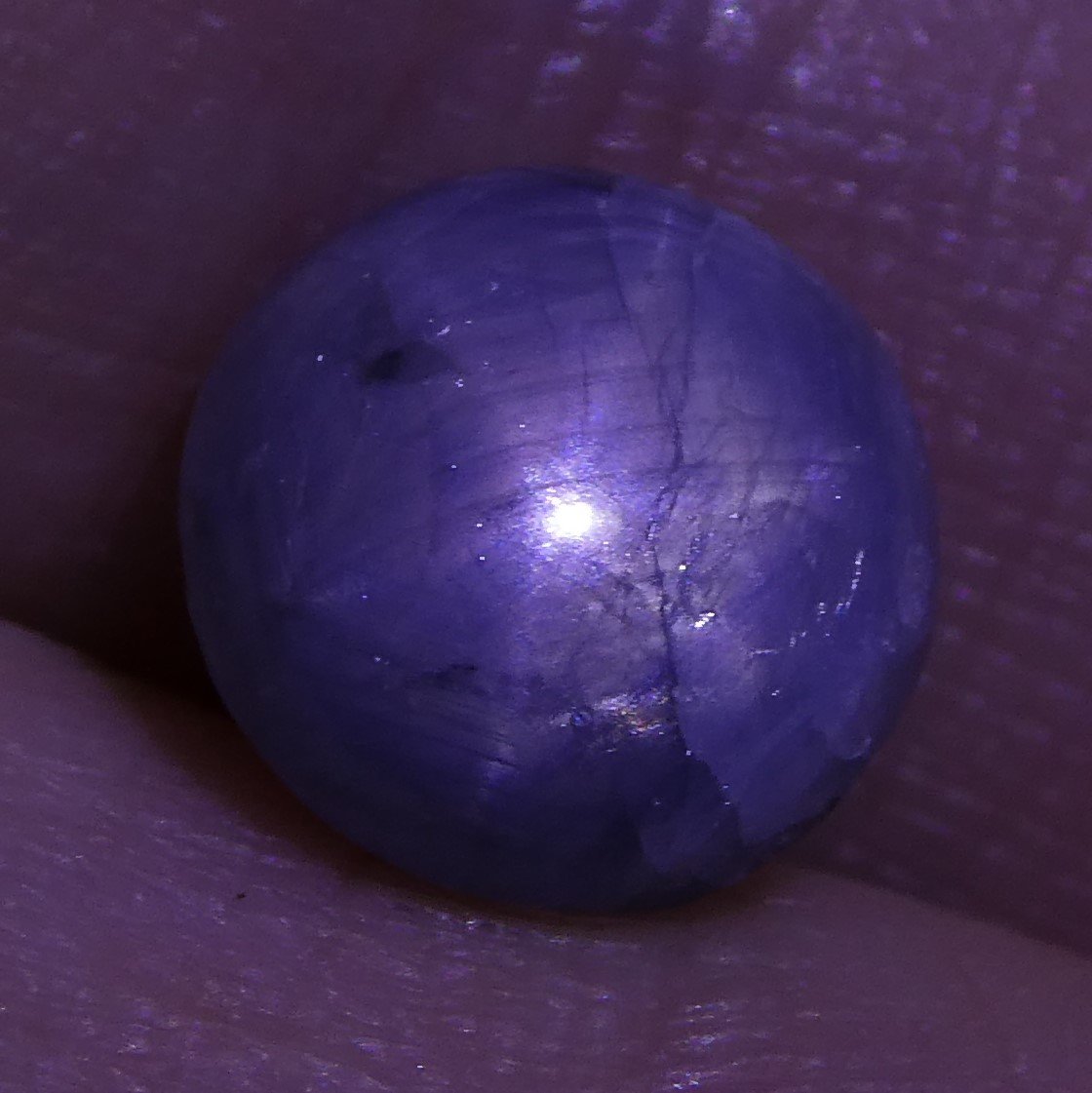 2.92 ct Unheated Blue Ceylon Star Sapphire - Skyjems Wholesale Gemstones