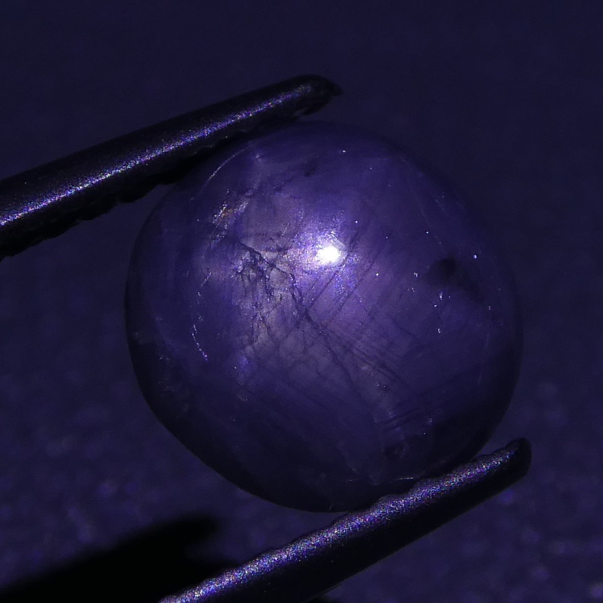 2.92 ct Unheated Blue Ceylon Star Sapphire - Skyjems Wholesale Gemstones