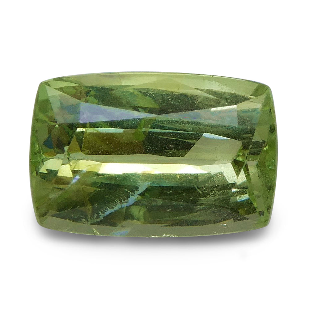 3.07 ct Cushion Green Grossularite / Tsavorite Garnet - Skyjems Wholesale Gemstones