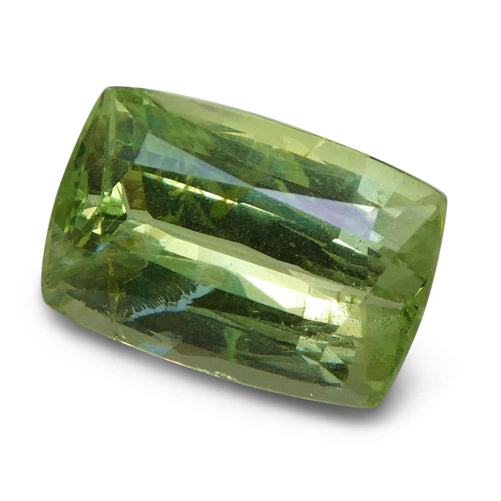 3.07 ct Cushion Green Grossularite / Tsavorite Garnet - Skyjems Wholesale Gemstones