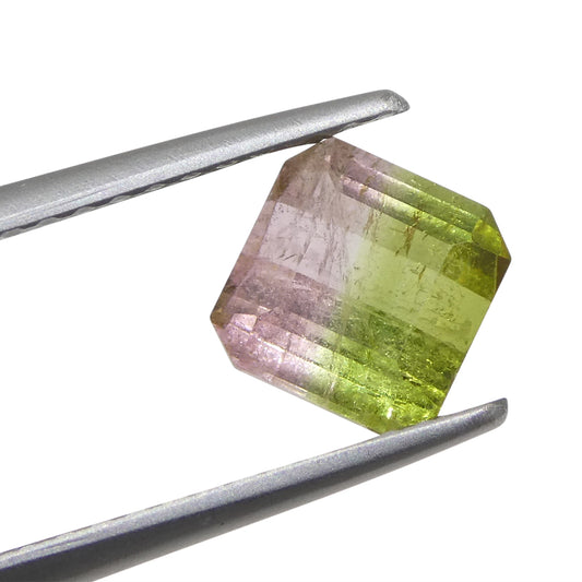 Bi-Colour Tourmaline 1.23 cts 5.95 x 5.80 x 4.15 Square Pink & Green  $500