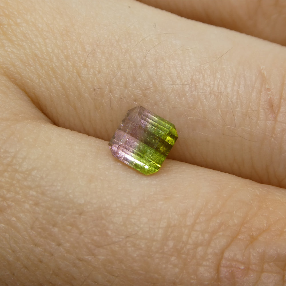 1.23ct Square Pink & Green Bi-Colour Tourmaline from Brazil - Skyjems Wholesale Gemstones