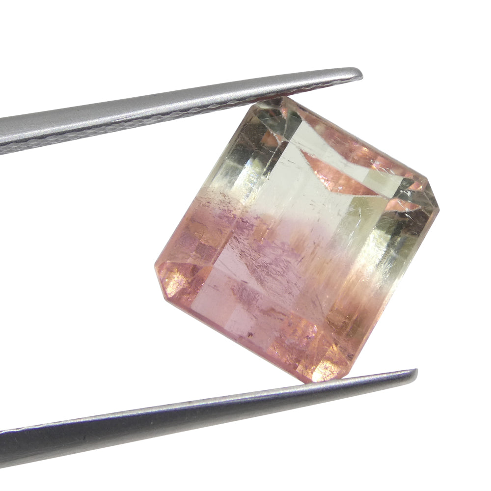 Bi-Colour Tourmaline 6.62 cts 10.76 x 9.83 x 6.91 Emerald Cut Pink & Green  $1000