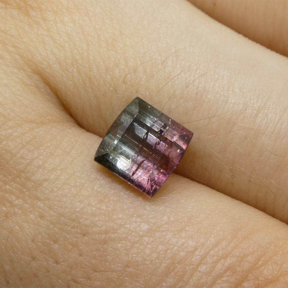 3.01ct Barrel Cut Blue & Pink Bi-Colour Tourmaline from Brazil - Skyjems Wholesale Gemstones