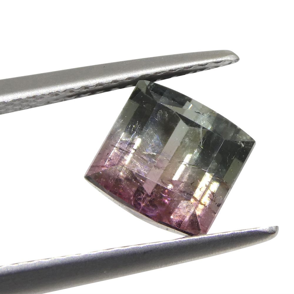 3.01ct Barrel Cut Blue & Pink Bi-Colour Tourmaline from Brazil - Skyjems Wholesale Gemstones