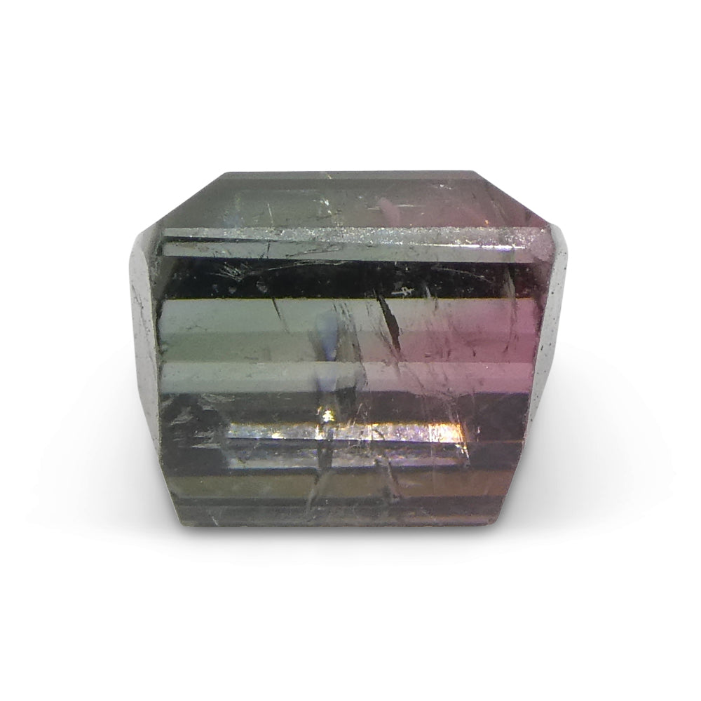 3.01ct Barrel Cut Blue & Pink Bi-Colour Tourmaline from Brazil - Skyjems Wholesale Gemstones