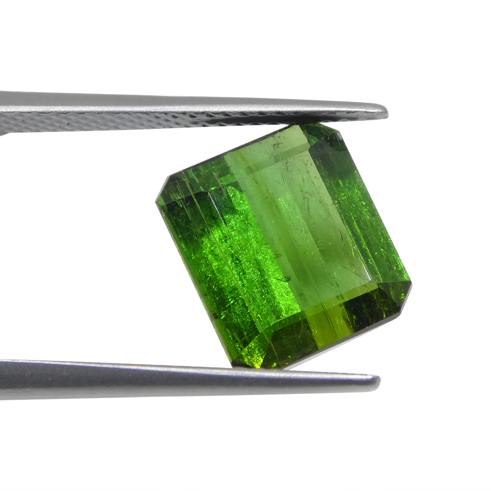 Tourmaline 5.76 cts 10.55 x 9.59 x 6.21 Emerald Cut Green  $1300