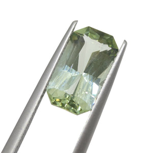 2.72ct Octagonal Green Tourmaline from Brazil - Skyjems Wholesale Gemstones