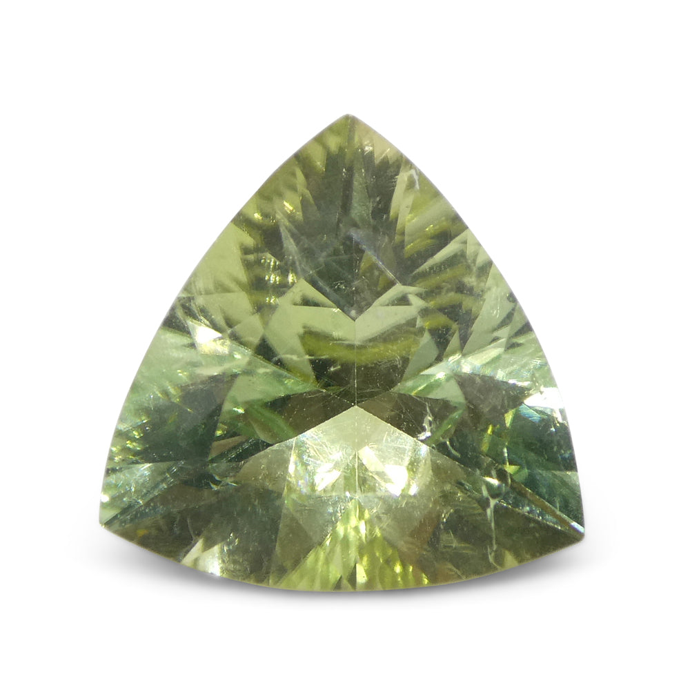 3.29ct Trillion Green Tourmaline from Brazil - Skyjems Wholesale Gemstones