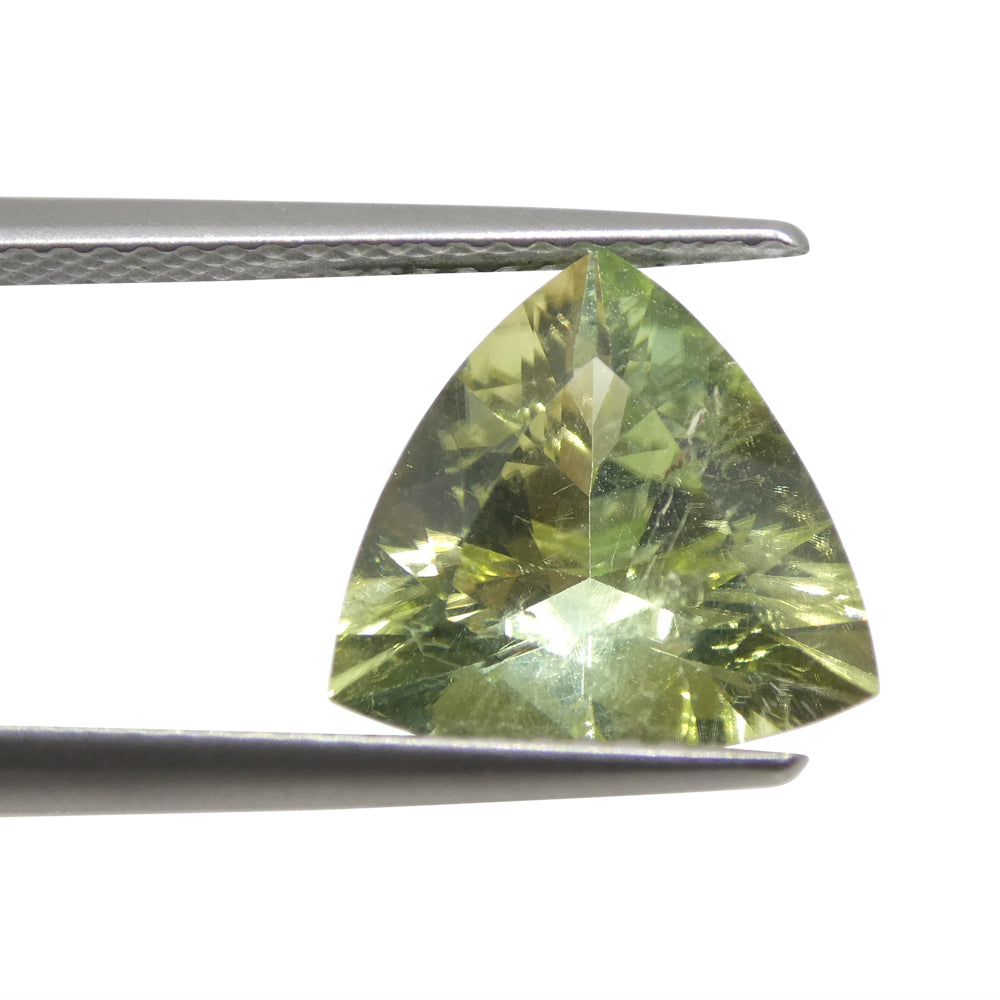 3.29ct Trillion Green Tourmaline from Brazil - Skyjems Wholesale Gemstones