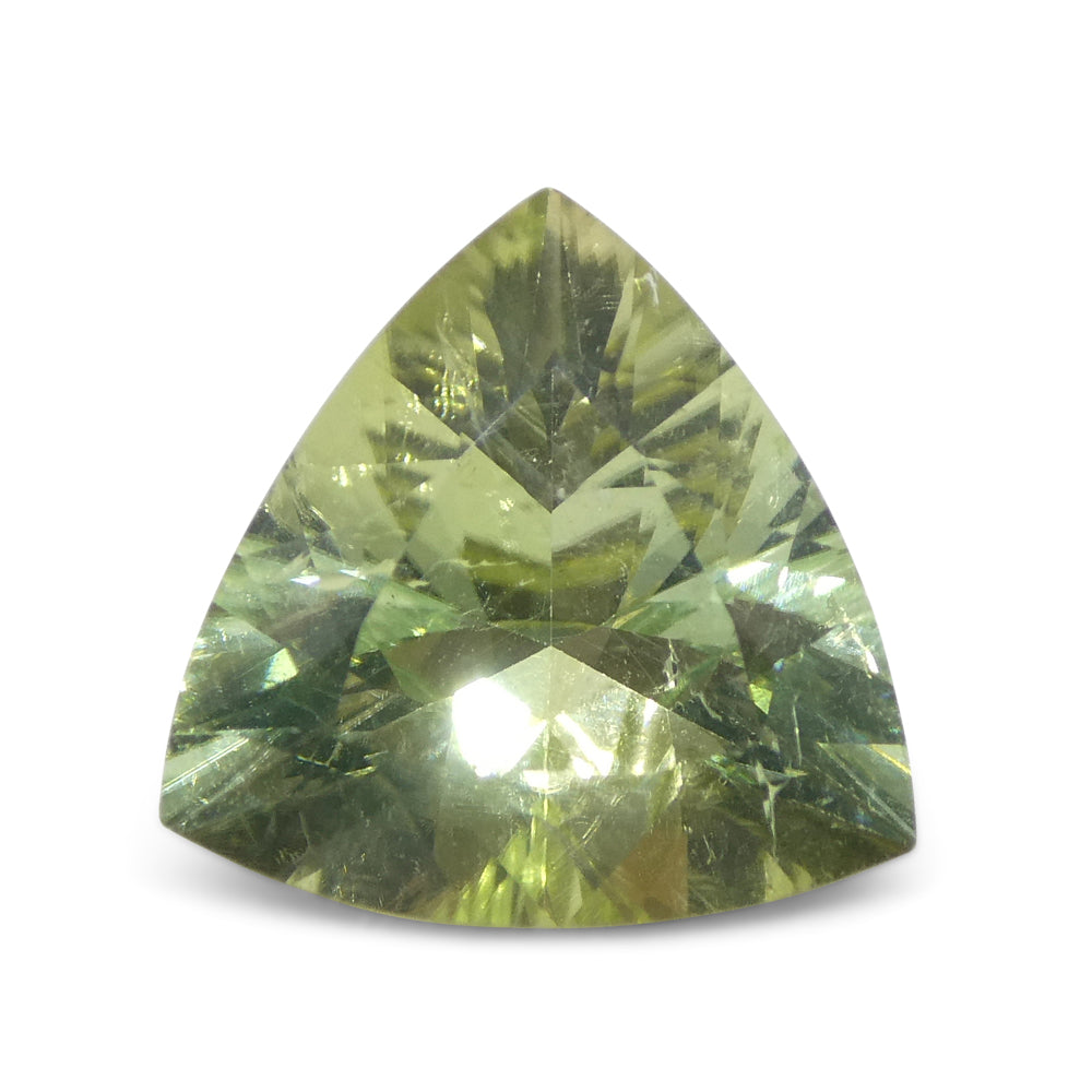 3.29ct Trillion Green Tourmaline from Brazil - Skyjems Wholesale Gemstones