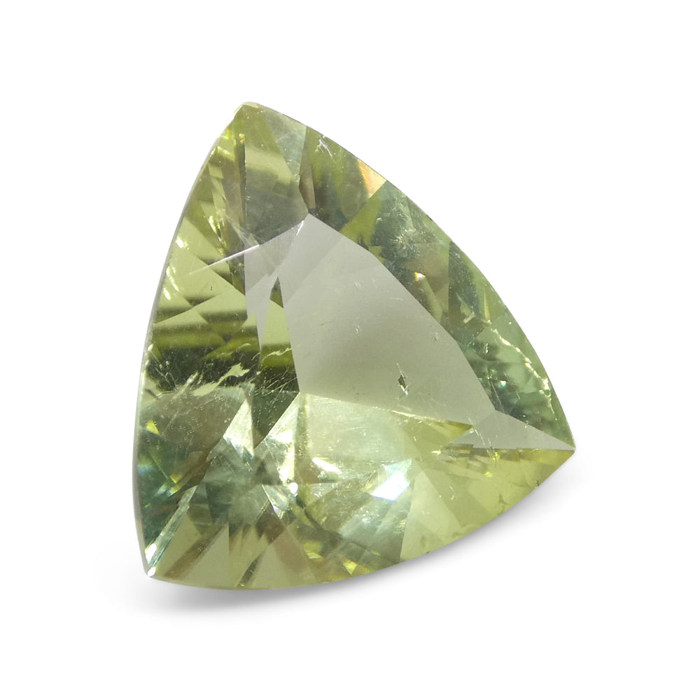 3.29ct Trillion Green Tourmaline from Brazil - Skyjems Wholesale Gemstones