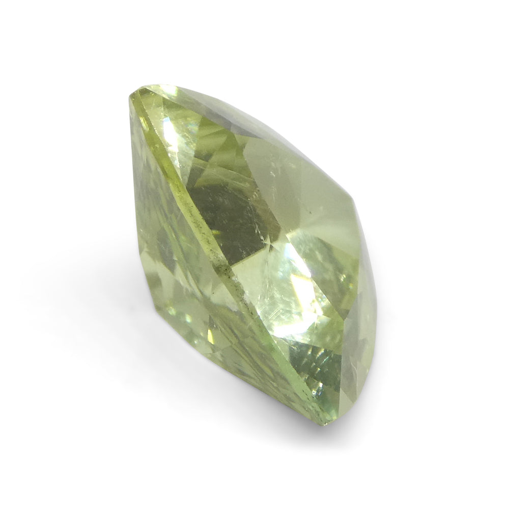 3.29ct Trillion Green Tourmaline from Brazil - Skyjems Wholesale Gemstones