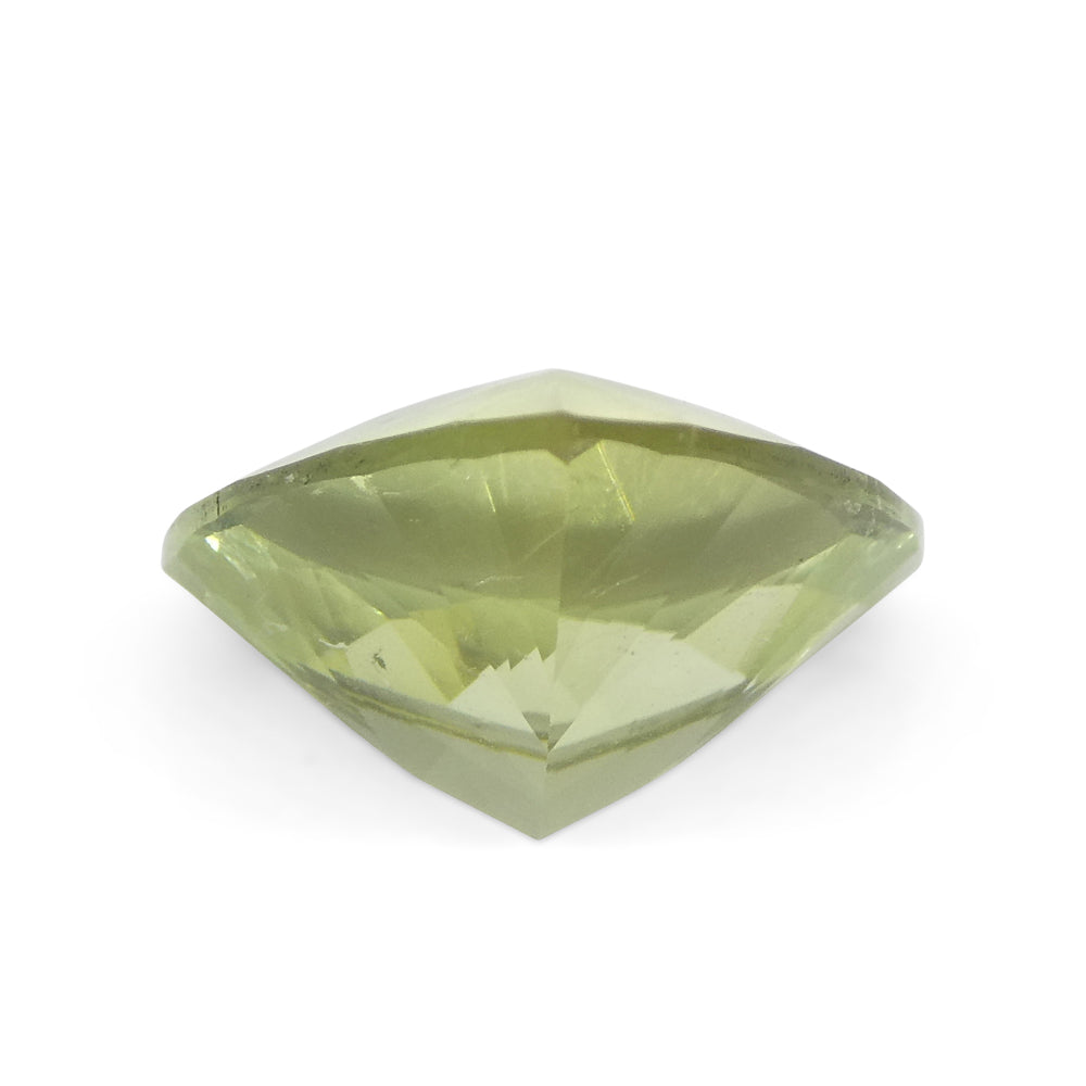 3.29ct Trillion Green Tourmaline from Brazil - Skyjems Wholesale Gemstones