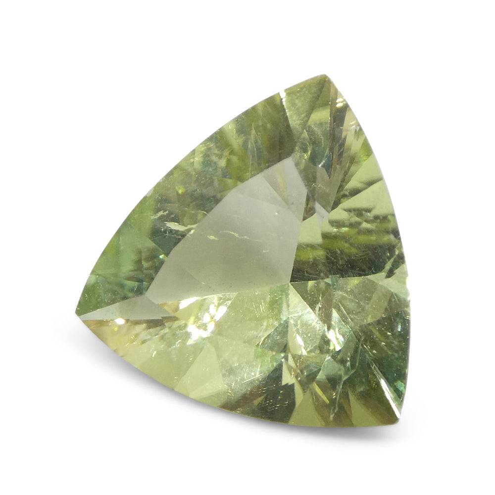 3.29ct Trillion Green Tourmaline from Brazil - Skyjems Wholesale Gemstones