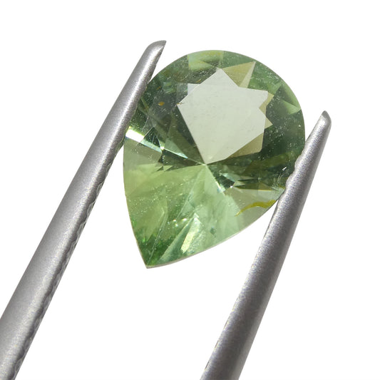 Tourmaline 1.38 cts 6.66 x 9.39 x 4.44 Pear Green  $490