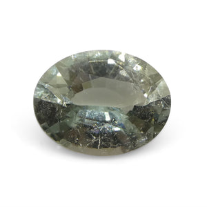 0.93ct Oval Green Tourmaline from Brazil - Skyjems Wholesale Gemstones