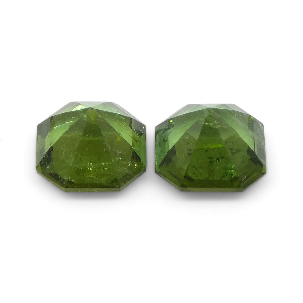 0.8ct Asscher Green Tourmaline Pair from Brazil, matched octagonal step-cut gemstones by SkyJems Canadian gem experts