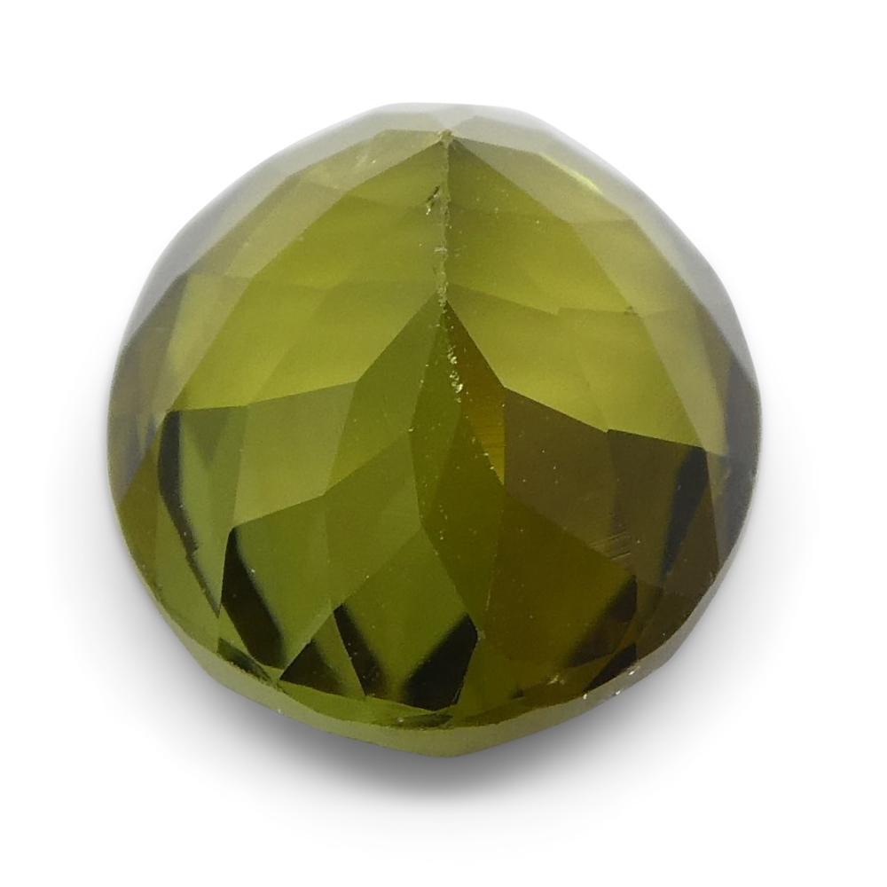 2.5ct Oval Olive Green Tourmaline - Skyjems Wholesale Gemstones